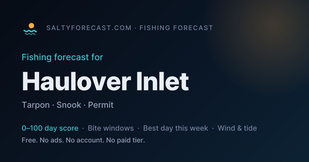 Haulover Inlet Fishing Forecast — Best Days & Bite Times