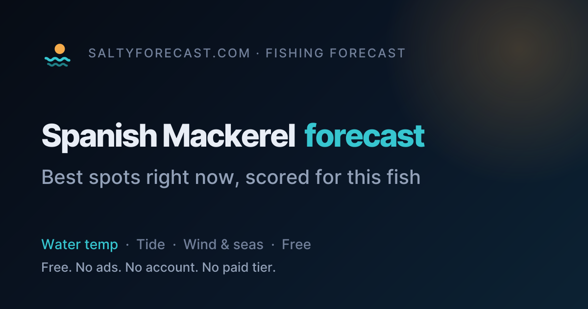 Spanish Mackerel Fishing Forecast Today: Best Spots